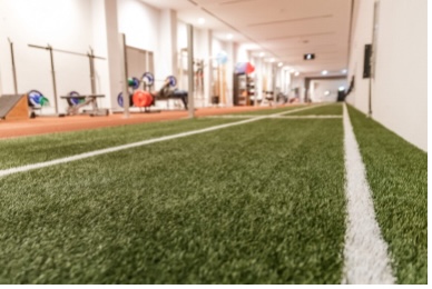 Artificial Turf For Gyms