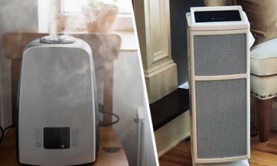 Air Purifier vs Humidifier Which One Do You Need