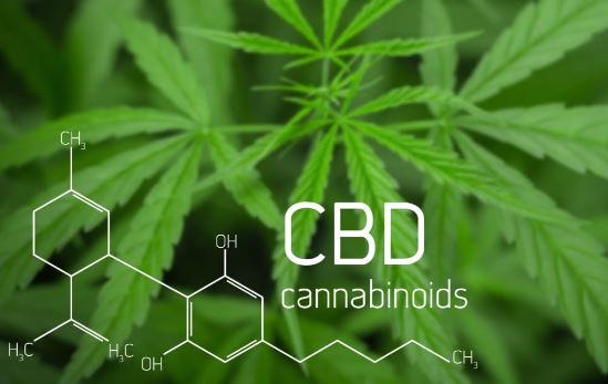 CBD Business Opportunities That Can Help You Prosper in 2021