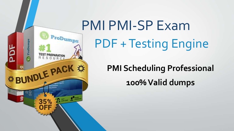 PMI PMI-SP exam Dumps