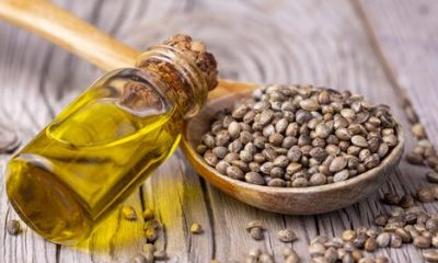 Why Are Hemp Oils Good For The Skin