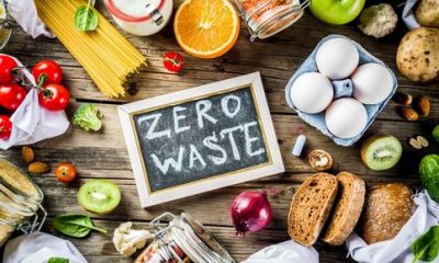 3 Benefits of Going Zero Waste