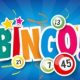 Common Features at Online Bingo Sites