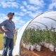 How to Grow Organic Cannabis