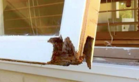 Window Frame Repair