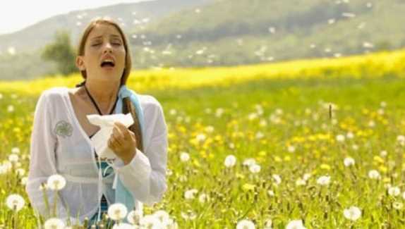 How To Manage Hay Fever