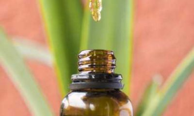 Top 5 Best CBD Products to Buy