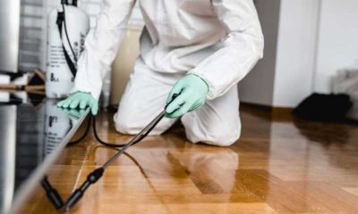 Pest Control in Your Midwest City Home