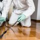 Pest Control in Your Midwest City Home