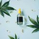 7 CBD Oil Shopping Mistakes and How to Avoid Them