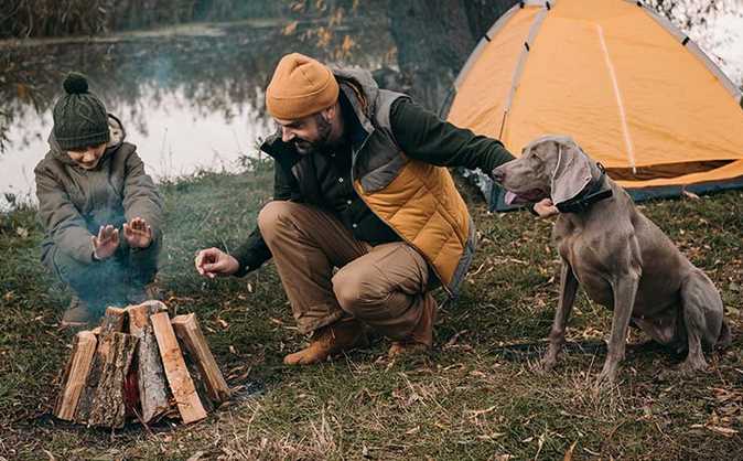 Best Dog Breeds For Camping And Hiking