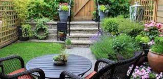 6 Backyard Landscaping Ideas