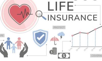Which Life Insurance Plan is Best for Me