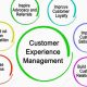 EXPERIENCE MANAGEMENT