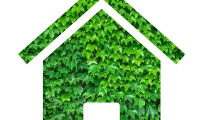 5 Practical Green Living Tips for Homeowners