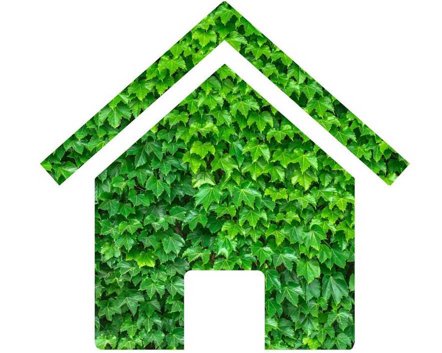 5 Practical Green Living Tips for Homeowners