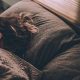 5 Tips for Great Sleep