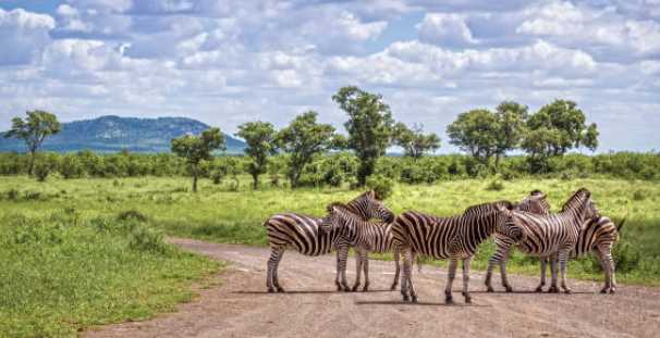 Kruger National Park