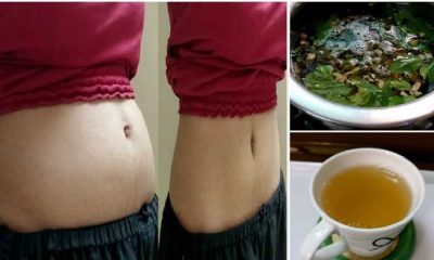 Weight Loss with Green Tea! Let’s Reveal the Truth!