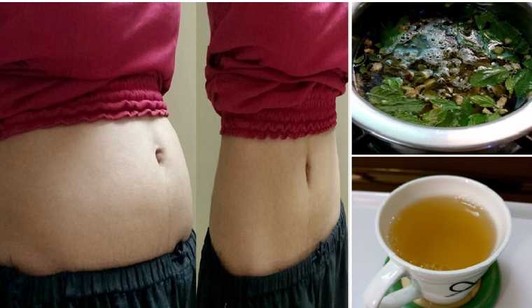 Weight Loss with Green Tea! Let’s Reveal the Truth!