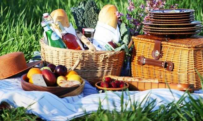 What to bring with you on a picnic