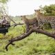 9 of the Best Activities to enjoy in the Kruger National Park