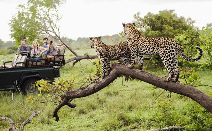 9 of the Best Activities to enjoy in the Kruger National Park