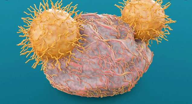 CAR-T Therapy Shows Promise Against Solid Tumors in Research Study