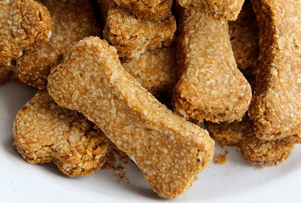 Healthy Dog Treats