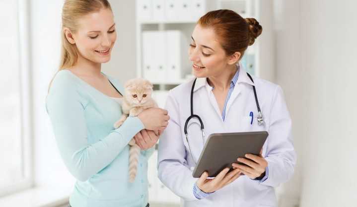 How much does it cost to attend veterinary school