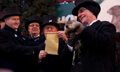 the story of Groundhog Day