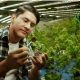 The Top 5 Grow Supplies for Hydroponic Gardens