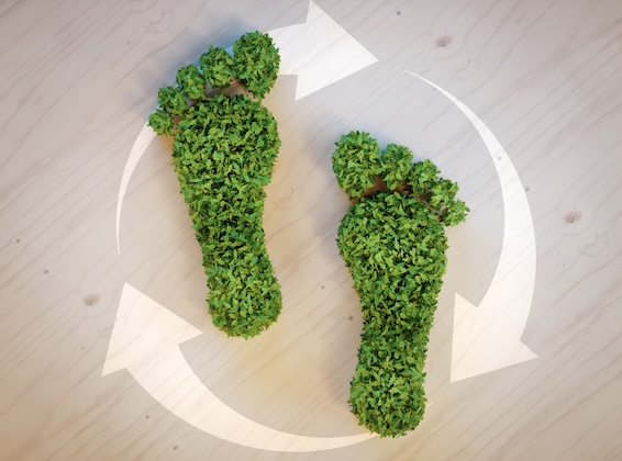 How Can You Reduce Your Carbon Footprint?