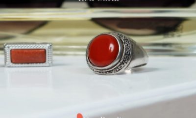 7 Quick Tips About Red Coral