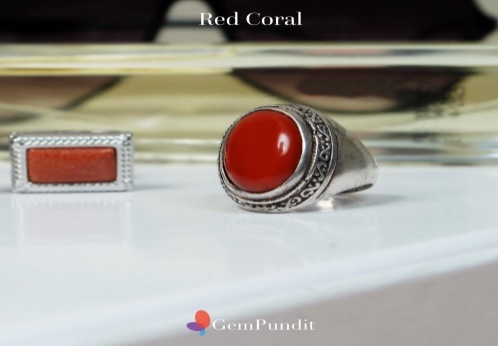 7 Quick Tips About Red Coral