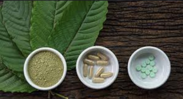 How to Select Kratom Vendors