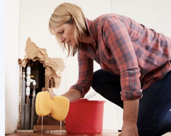 Prevent Mold After Water Damage With These Tips