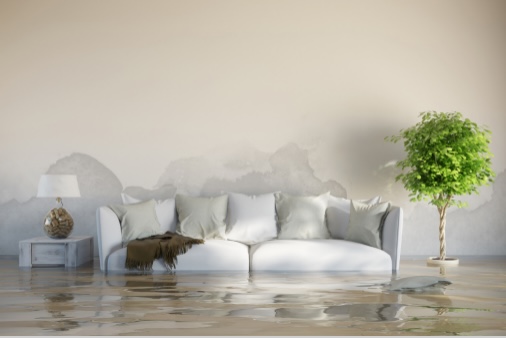 The Importance of Professional Water Damage Restoration