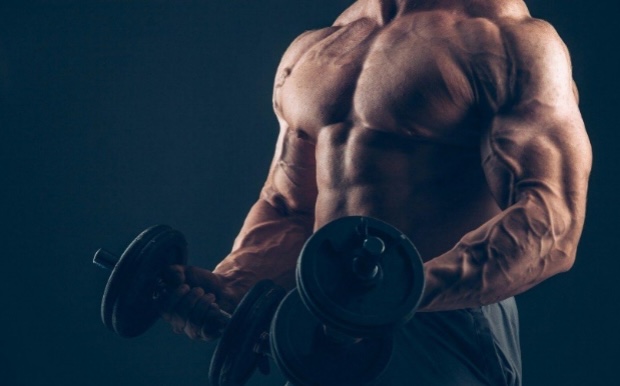 Unleash the Power of the Ultimate Muscle-Building Exercises for Massive Gains!