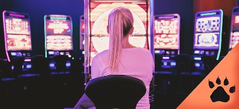 Ultimate Guide to Understanding and Winning at Slots