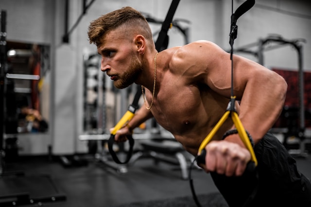 5 Strategies for Long-Term Muscle Development