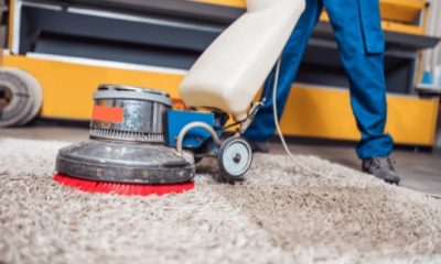 Is Carpet Cleaning Worth The Price Tag?