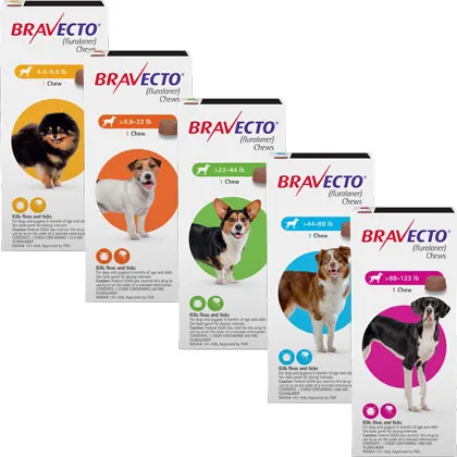 Why Bravecto is the Ultimate Flea and Tick Solution for Dogs