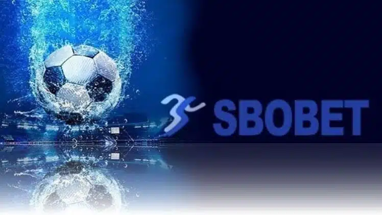 Exploring the Thrills of Sbobet Sports