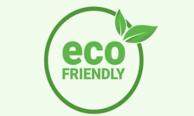 3 Ways to Be More Eco-Friendly at Home