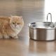 The Role of Drinking Fountains in Keeping Pets Hydrated