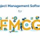 How FMCG Software Solutions Drive Innovation in Product Development