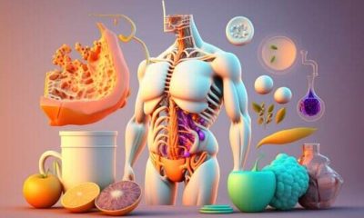 Understanding Metabolism