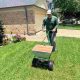 Transform Your Yard with Professional Lawn Fertilization Service in Dallas