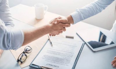 Navigating the Essentials of Employment Contracts